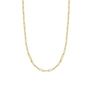 Paperclip chain